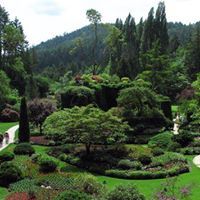 محمد الدخيل