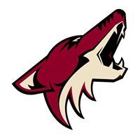 Костя Шевченко