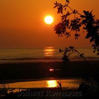 محمد السماني