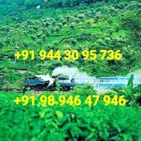 Nilgiris Property