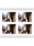 Reinsya...