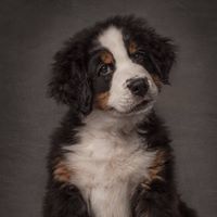 Barbara Breitsameter