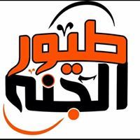 Ahmed Mourad