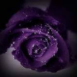 السويداء مكانى