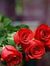 Rizwan ...