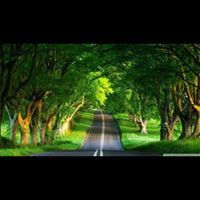 إبراهيم عسيري