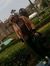Rasha G...