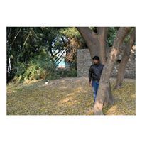 Sameer Majumdar