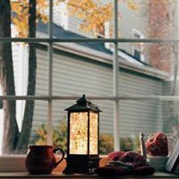 شيرين عابدين