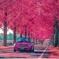 عمر الربابعة