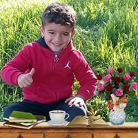 محمود المحسيري