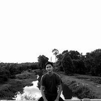 Apis Mustafa