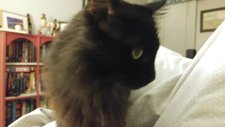 Amanda