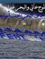 Yasser ...