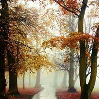 هليله هلاله