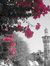 Marwa S...