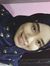 Syafiqa...