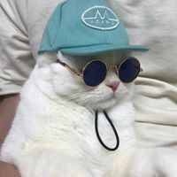 Богдан Пановић