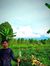 Fahri S...