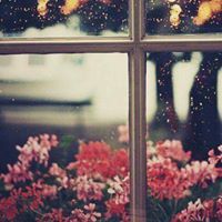 ماريا الصباغ