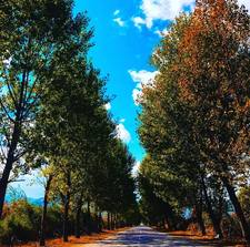 Лора Аболихина