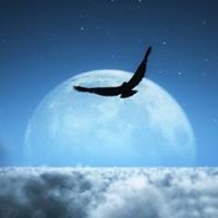 محمد الزيني