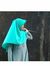 Nor Aini