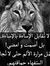 Reem Sp...