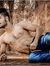 Tarun Rana