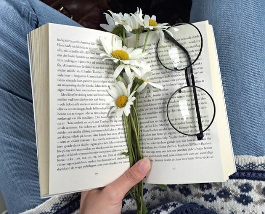 Goodreads profile picture for @sophia3