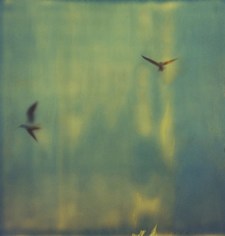 মাহাবুব হাসান