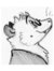 Pretty Literate Opossum