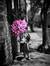 Mirna I...