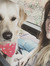 Rachel