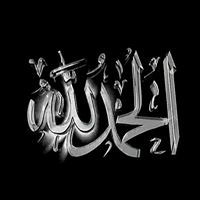 Tarek Abd Elaleem