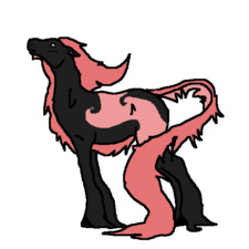 ♞ Ava McKinley ♘