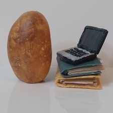 Sam (Hissing Potatoes)