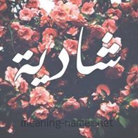 Shaima AlNour