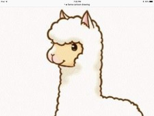 Maggie LlamaLlover
