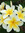 Bec | 8 comments