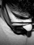 Aref