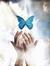 Eman Nady