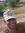 Eng Ahmed