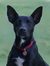 PK