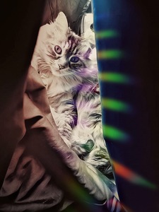 Jess Monster