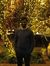 Shadab