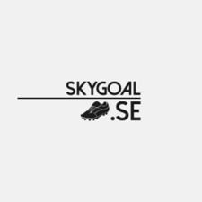 SkyGoal