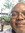 David Steele | 3 comments