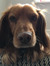 Lynne W...