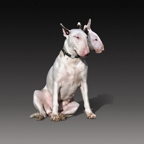 Goodreads profile picture for @croquet